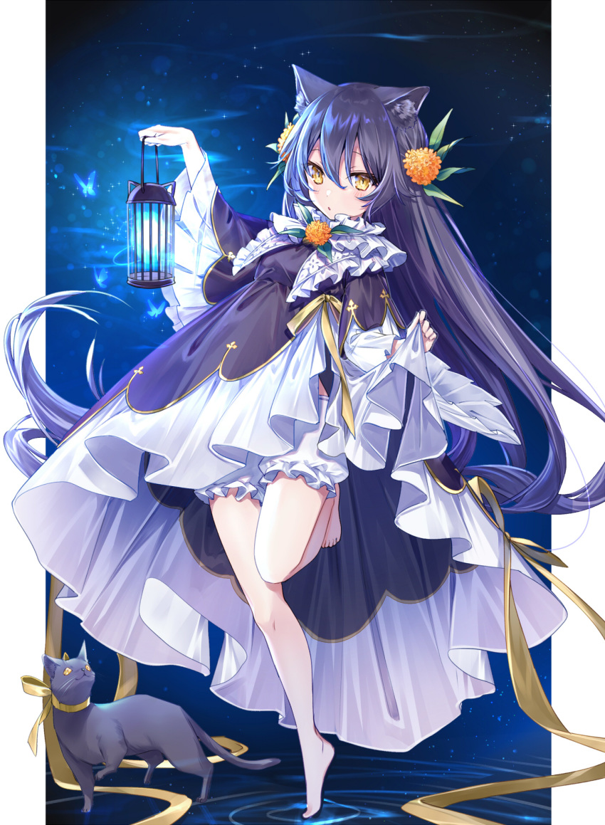 1girl animal_ears blue_hair bug buruma butterfly cat cat_ears commentary_request dress hair_between_eyes hair_ornament highres insect lamp long_hair looking_at_viewer night nijisanji solo virtual_youtuber yellow_eyes yuya_(night_lily)