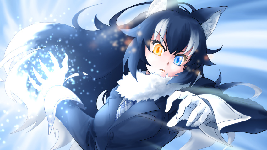 1girl animal_ears attack attacking_viewer black_hair blue_eyes breast_pocket breasts commentary commentary_request eyebrows_visible_through_hair fur_collar gloves grey_wolf_(kemono_friends) heterochromia highres kemono_friends long_hair looking_at_viewer medium_breasts multicolored_hair naka_(nicovideo14185763) necktie pocket solo two-tone_hair white_gloves white_hair wolf_ears yellow_eyes