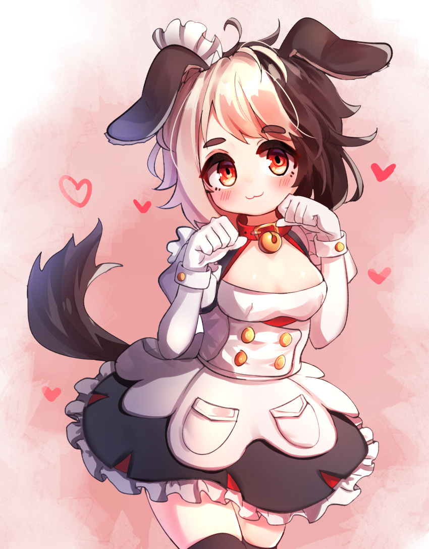 1girl :3 absurdres animal_ears bell bell_collar black_legwear blonde_hair breasts brown_hair collar dog_ears dog_girl dog_tail dress eyebrows_visible_through_hair hachiko_of_castling heart highres kosobin last_origin looking_at_viewer maid maid_headdress multicolored_hair paw_pose red_collar solo tail thigh-highs two-tone_hair wrist_cuffs