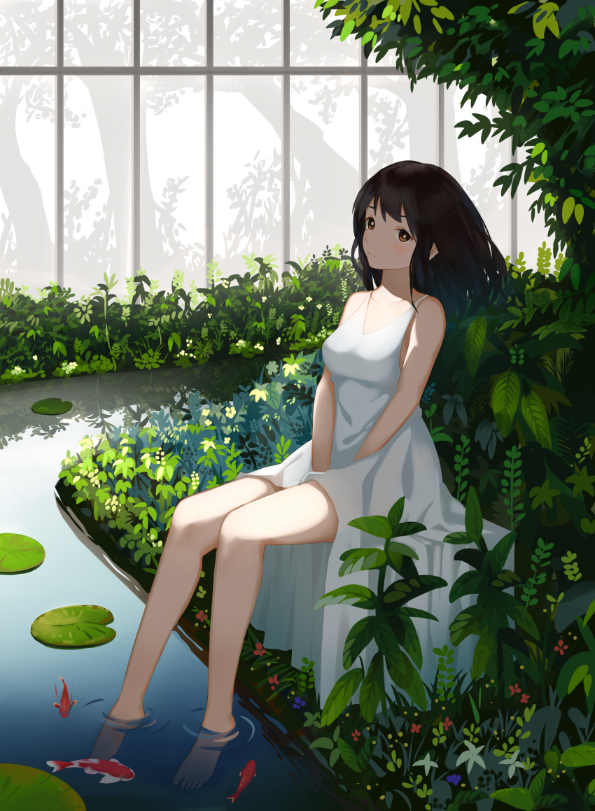 .l.l 1girl absurdres animal bangs bare_arms bare_shoulders barefoot between_legs black_hair blush breasts brown_eyes chinese_commentary closed_mouth commentary_request dress eyebrows_behind_hair fish full_body hand_between_legs highres indoors koi lily_pad long_hair looking_at_viewer medium_breasts original plant sitting sleeveless sleeveless_dress soaking_feet solo water white_dress