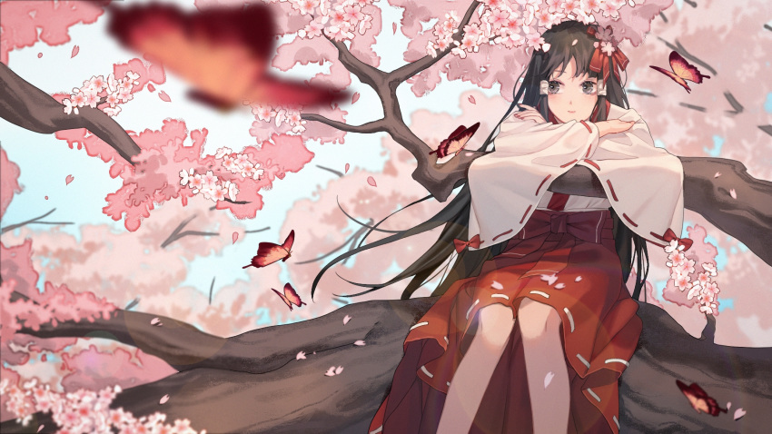 1girl black_eyes black_hair blurry blurry_background bug butterfly cherry_blossoms commentary crossed_arms day depth_of_field feet_out_of_frame fingernails flower hair_flower hair_ornament hair_ribbon hakama_skirt highres houraisan_chouko in_tree insect japanese_clothes leaning_on_object light_smile long_hair looking_to_the_side miko nail_polish original outdoors petals red_nails ribbon ribbon-trimmed_sleeves ribbon_trim sitting smile solo tree very_long_hair wide_sleeves