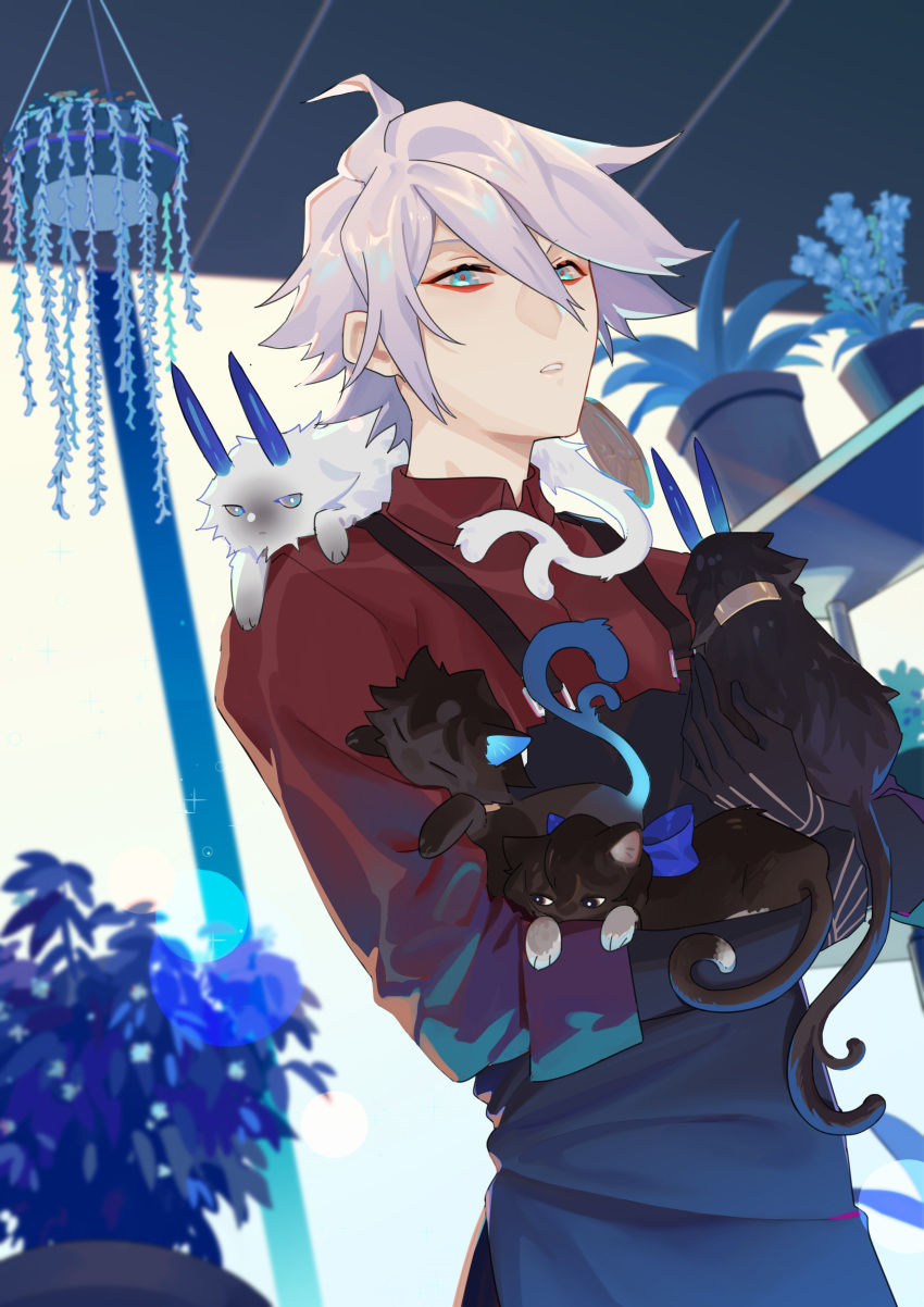 1boy 676643396dolce absurdres animalization apron arjuna_(fate/grand_order) arjuna_alter bishounen black_apron blue_eyes cat european_clothes eyeshadow fate/apocrypha fate/extella fate/extra fate/extra_ccc fate/grand_order fate_(series) flower_shop highres horns jewelry karna_(fate) karna_(flower_coordinator) makeup male_focus multiple_cats red_eyeshadow red_shirt shirt shop single_earring solo_focus white_hair