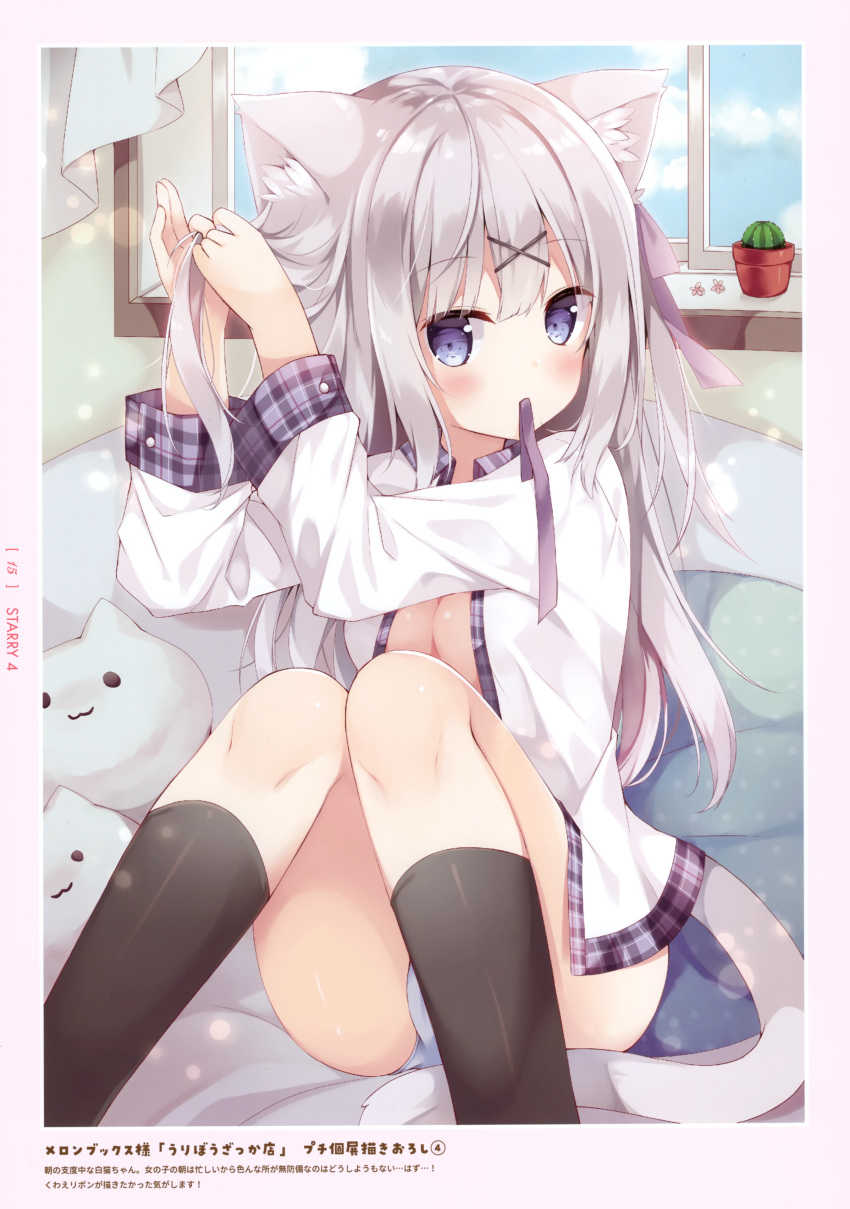 1girl absurdres animal_ear_fluff animal_ears bangs black_legwear blue_eyes blue_panties blush cat_ears cat_tail collared_shirt dress_shirt eyebrows_visible_through_hair hair_between_eyes hair_ribbon highres hoshi_(snacherubi) kneehighs long_hair long_sleeves looking_at_viewer mouth_hold open_clothes open_shirt original panties purple_ribbon ribbon ribbon_in_mouth shiny shiny_hair shiny_legwear shirt silver_hair sitting solo tail tying_hair underwear very_long_hair white_shirt wing_collar