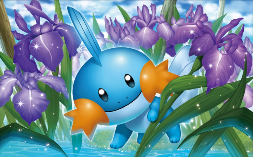 black_eyes blue_sky closed_mouth clouds cloudy_sky creature flower full_body gen_3_pokemon grass looking_at_viewer mudkip no_humans official_art outdoors pokemon pokemon_(creature) pokemon_trading_card_game sky smile solo standing tsutsui_misa water