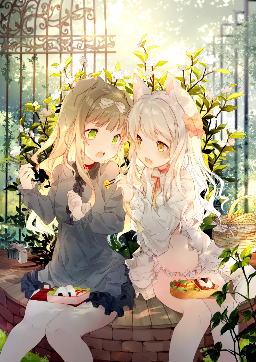 2girls :d amafuyu animal_ear_fluff animal_ears apple_slice backlighting bangs basket bow breasts brown_bow brown_eyes brown_hair camera cat_ears center_frills chopsticks commentary_request day dog_ears dress egg_roll eyebrows_visible_through_hair fang feeding feet_out_of_frame fence flower food frilled_dress frills green_eyes grey_dress hair_bow highres holding holding_chopsticks long_hair long_sleeves multiple_girls obentou onigiri open_mouth original outdoors sitting small_breasts smile sunlight upper_teeth very_long_hair white_bow white_dress white_flower white_hair yuri