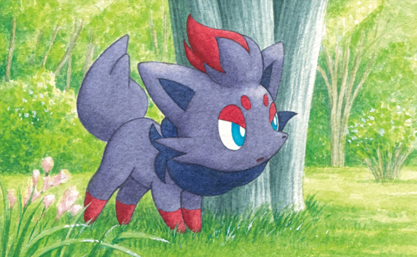 blue_eyes creature flower forest full_body gen_5_pokemon grass kimura_naoyo looking_away nature no_humans official_art outdoors pokemon pokemon_(creature) pokemon_trading_card_game solo standing third-party_source tree zorua