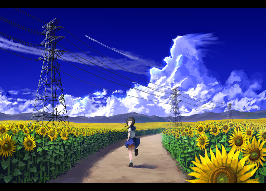 1girl absurdres aircraft airplane amemori_sayo black_footwear black_hair blue_skirt condensation_trail day field flower flower_field highres huge_filesize looking_back nemu_kotatsu nijisanji outdoors power_lines school_uniform serafuku shadow short_hair_with_long_locks skirt socks solo standing standing_on_one_leg sunflower virtual_youtuber