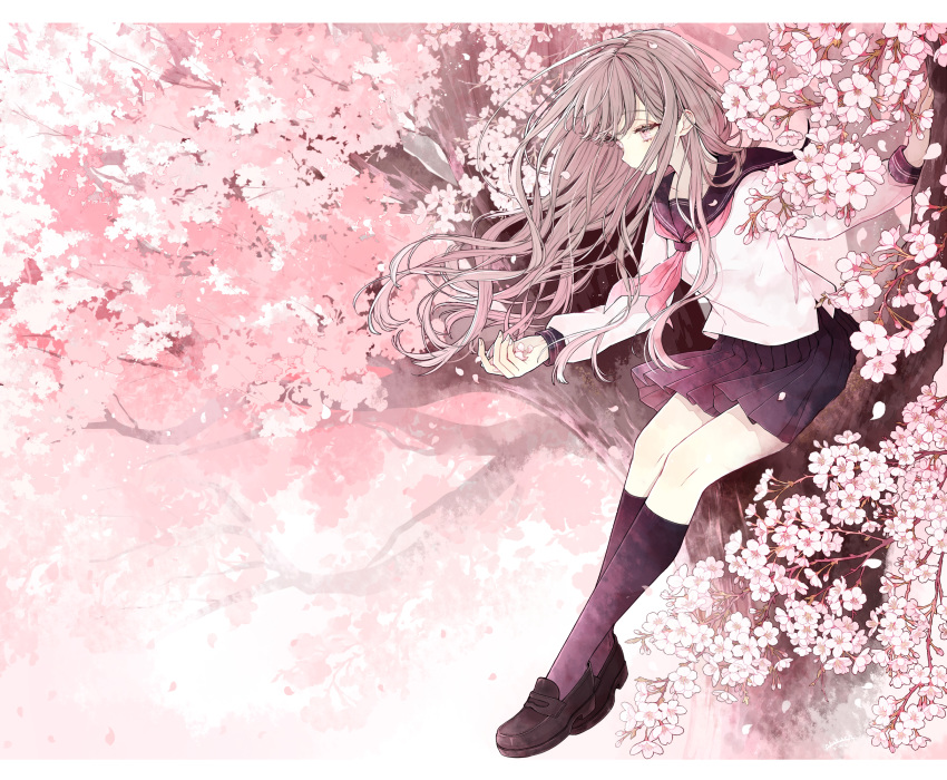 1girl akakura brown_hair cherry_blossoms flower highres kneehighs long_hair original petals pink_eyes school_uniform serafuku solo tree