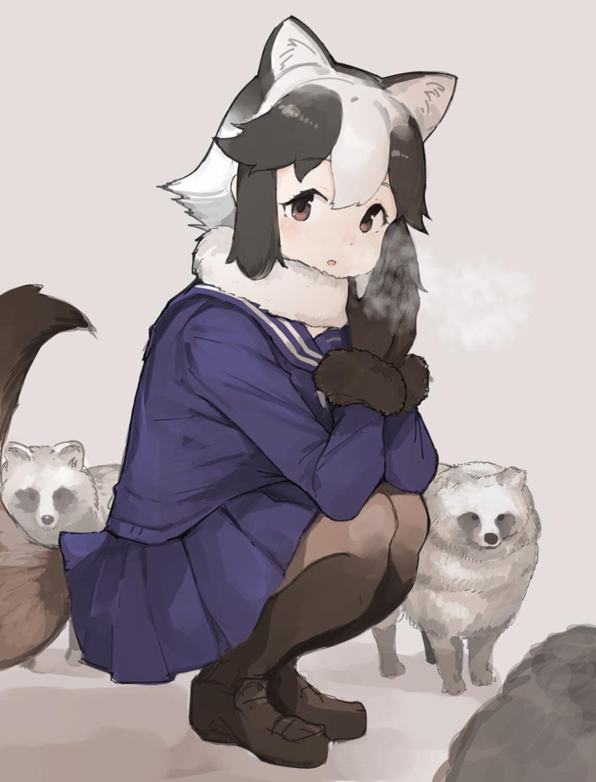 1girl animal_ears breath breathing_on_hands brown_eyes brown_footwear brown_fur brown_gloves brown_hair brown_legwear commentary_request extra_ears eyebrows_visible_through_hair fur_collar fur_trim gloves hands_together highres kemono_friends koruse loafers long_sleeves multicolored_hair navy_blue_shirt navy_blue_skirt pantyhose pleated_skirt raccoon_ears raccoon_girl raccoon_tail sailor_collar school_uniform shoes short_hair skirt solo squatting tail tanuki tanuki_(kemono_friends) two-tone_hair warming_hands white_fur white_hair