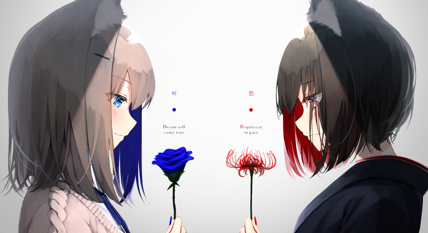 2girls absurdres animal_ear_fluff animal_ears aran_sweater bangs black_hair black_shirt blue_eyes blue_flower blue_hair blue_nails blue_ribbon blue_rose blush brown_hair brown_sweater closed_mouth collared_shirt commentary_request english_text eyebrows_visible_through_hair eyes_visible_through_hair flower gradient gradient_background grey_background hair_between_eyes hair_ornament hairclip hand_up highres holding holding_flower latin_text looking_away looking_down mayogii multicolored_hair multiple_girls nail_polish neck_ribbon original profile red_flower red_nails redhead ribbon rose shirt smile spider_lily sweater translated two-tone_hair upper_body violet_eyes white_shirt