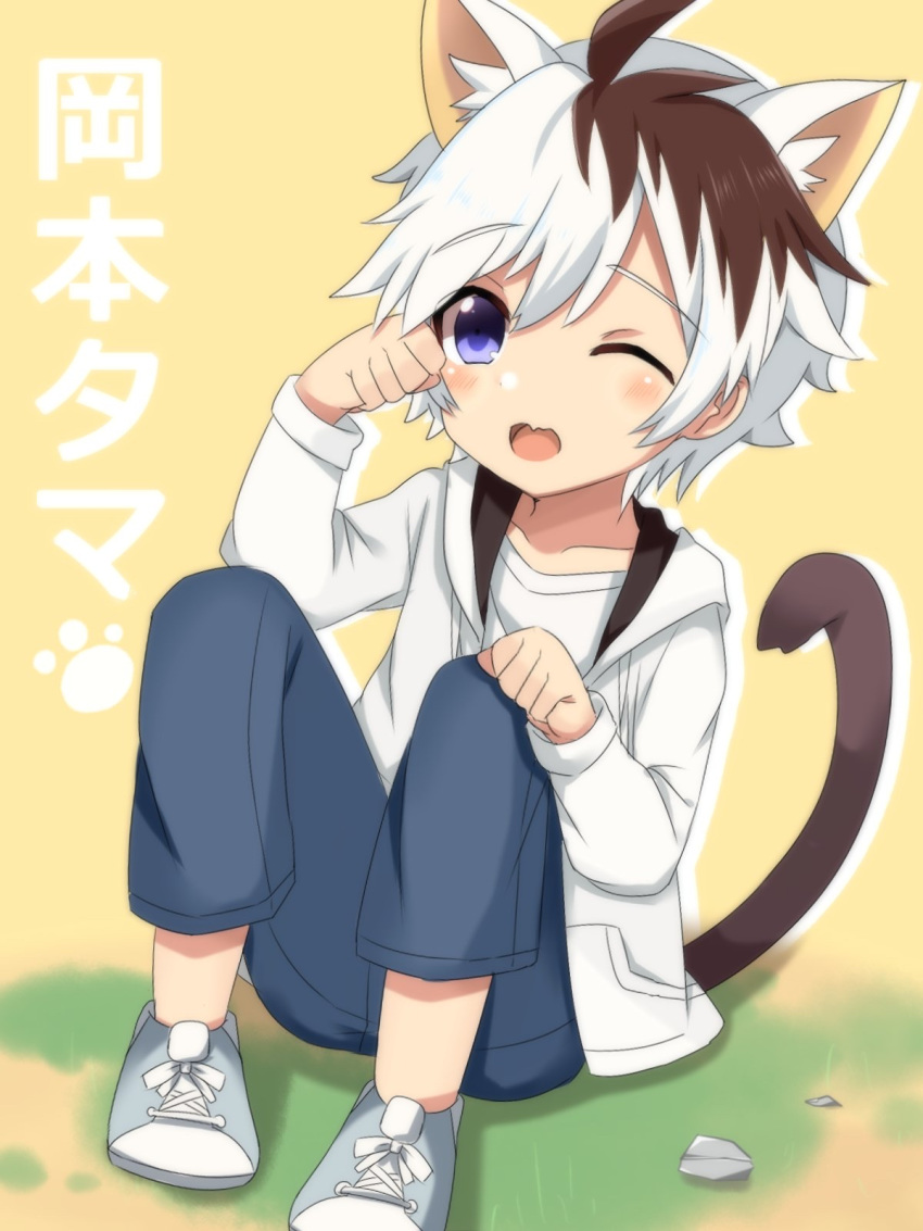 1boy animal_ears brown_hair cat_boy cat_ears commentary_request eyebrows_visible_through_hair highres looking_at_viewer male_focus meranoreuka_(naokentak) multicolored_hair okamoto_tama one_eye_closed partial_commentary paw_pose solo two-tone_hair uchi_no_tama_shirimasen_ka? violet_eyes white_hair
