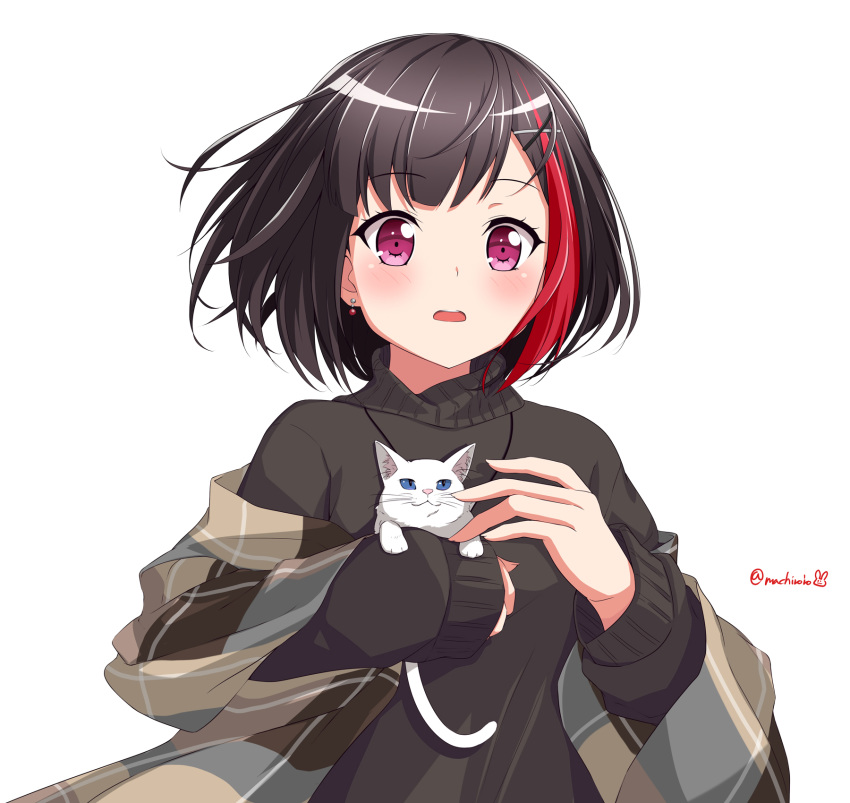 1girl animal animal_ear_fluff bang_dream! bangs black_hair black_sweater blue_eyes blush cat earrings eyebrows_visible_through_hair hair_ornament hairclip highres holding holding_animal holding_cat jewelry kaeru_neko long_sleeves looking_at_viewer mitake_ran multicolored_hair open_mouth redhead shawl short_hair simple_background sleeves_past_wrists solo streaked_hair sweater twitter_username upper_body violet_eyes whiskers white_background white_cat x_hair_ornament