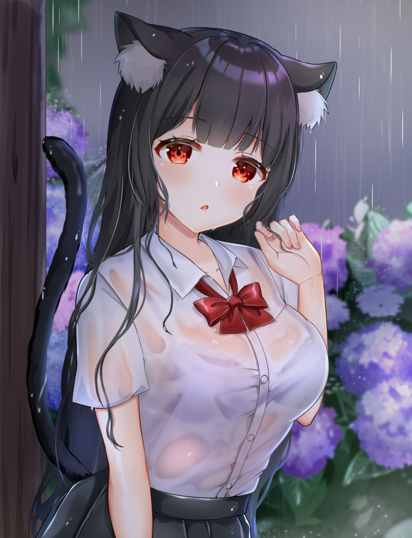 1girl animal_ears bangs black_hair black_skirt blurry blurry_background blush bow bowtie bra breasts cat_ears cat_girl cat_tail collared_shirt commentary_request depth_of_field dress_shirt eyebrows_visible_through_hair flower hand_up highres hydrangea katsushika_pachi long_hair looking_at_viewer medium_breasts original parted_lips pleated_skirt purple_bra purple_flower rain red_eyes red_neckwear shirt skirt solo tail underwear very_long_hair wet wet_clothes wet_hair wet_shirt white_shirt