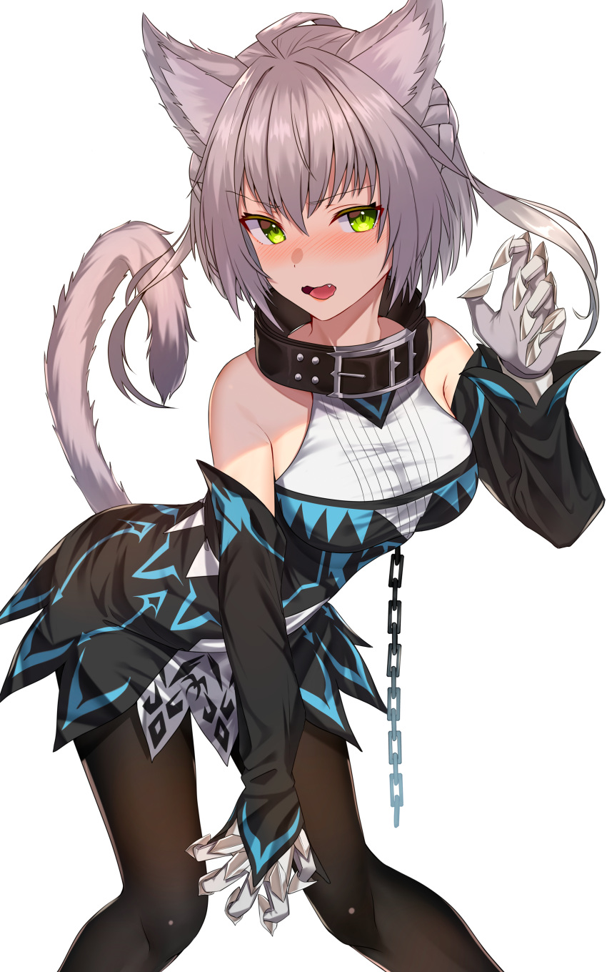 1girl absurdres ahoge animal_ears atalanta_(alter)_(fate) atalanta_(fate) bangs bare_shoulders belt_collar black_collar black_dress black_legwear blush braid breasts cat_ears cat_tail chain claws collar dress fate/apocrypha fate_(series) french_braid green_eyes grey_hair hair_between_eyes highres jun_(540000000000000) long_sleeves looking_at_viewer open_mouth short_hair simple_background solo tail white_background
