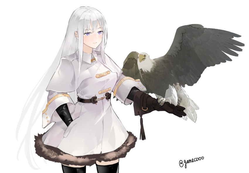 1girl azur_lane bald_eagle bangs bird breasts closed_mouth coat collared_coat eagle enterprise_(azur_lane) enterprise_(reindeer_master)_(azur_lane) fur_trim gloves hand_in_pocket large_breasts long_hair nello_(luminous_darkness) sidelocks silver_hair standing thigh-highs thighs violet_eyes white_coat wide_sleeves