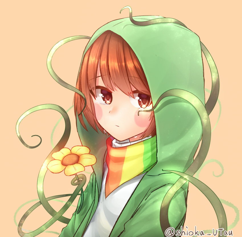 1other artist_name blush_stickers brown_eyes brown_hair chara_(undertale) crying crying_with_eyes_open eyebrows_visible_through_hair flower green_jacket highres hood hooded_jacket jacket looking_at_viewer plant rainbow_scarf scarf shioka_rei short_hair storyshift storyswap tears undertale yellow_flower