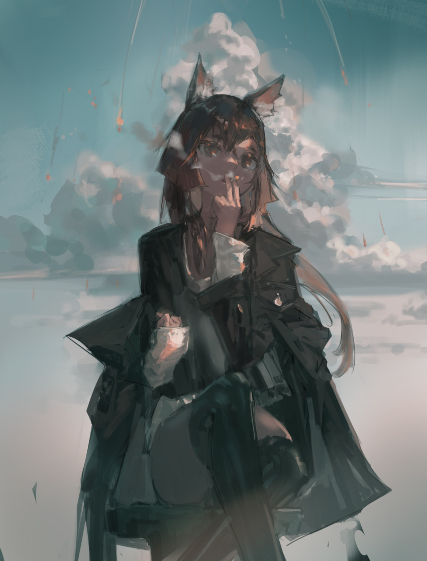 1girl absurdres animal_ear_fluff animal_ears bangs between_fingers brown_eyes brown_hair cigarette clouds coat crossed_legs feet_out_of_frame hand_up highres long_hair original outdoors sitting sky smoke_trail smoking solo thigh-highs zygocactus