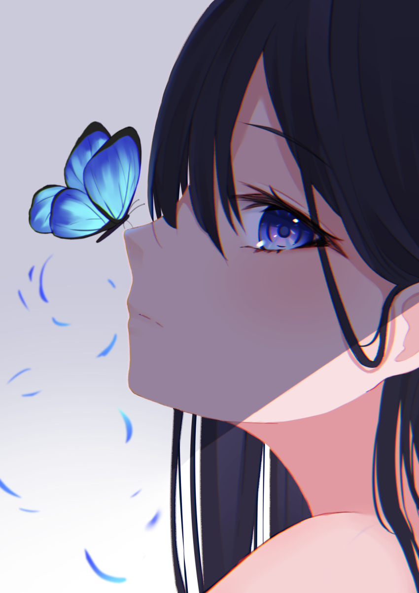 1girl animal bangs bare_shoulders black_hair blue_eyes bug butterfly butterfly_on_nose closed_mouth eyebrows_visible_through_hair gradient gradient_background grey_background hair_between_eyes highres hikashou insect long_hair looking_at_viewer looking_to_the_side original portrait profile solo white_background