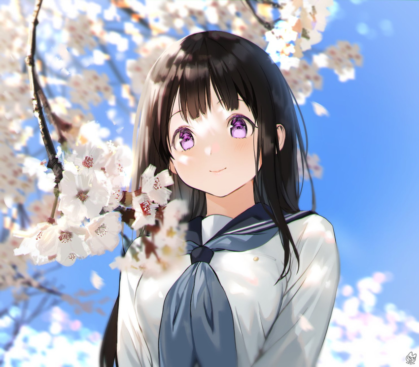 1girl bangs black_hair black_sailor_collar blue_sky blunt_bangs blurry branch cherry_blossoms chitanda_eru depth_of_field grey_neckwear highres hyouka long_hair looking_at_viewer mery_(apfl0515) neckerchief sailor_collar school_uniform serafuku sky smile solo upper_body violet_eyes