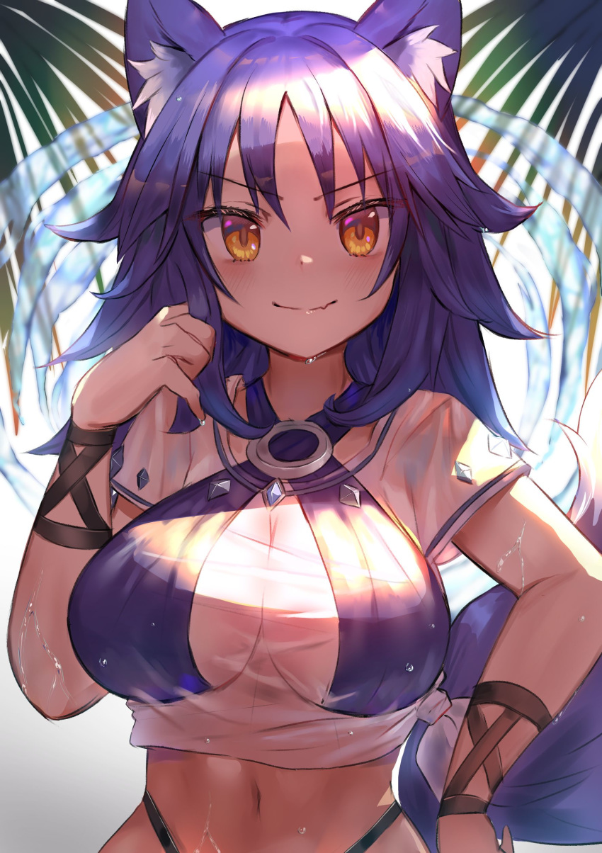 1girl absurdres aki_makoto animal_ear_fluff animal_ears armband bangs bikini bikini_under_clothes blush breasts closed_mouth commentary_request criss-cross_halter day eyebrows_visible_through_hair fang hair_between_eyes halterneck hand_in_hair hand_up highres large_breasts long_hair looking_at_viewer navel o-ring o-ring_top palm_leaf princess_connect! princess_connect!_re:dive purple_bikini purple_hair see-through shirt skin_fang smile solo standing sunlight swimsuit tail takuan_(mo55ilst) tied_shirt water wet wet_clothes white_shirt wolf_ears wolf_girl wolf_tail yellow_eyes