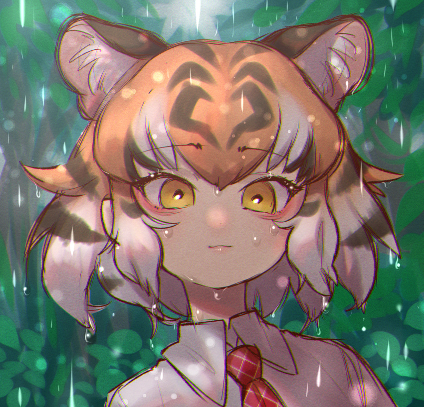 1girl :3 animal_ear_fluff animal_ears bangs black_hair commentary extra_ears eyebrows_visible_through_hair highres kemono_friends light_smile looking_at_viewer multicolored_hair necktie notora open_mouth orange_hair plaid_neckwear portrait rain red_neckwear shirt short_hair solo tiger_(kemono_friends) tiger_ears water_drop white_hair white_shirt wing_collar yellow_eyes