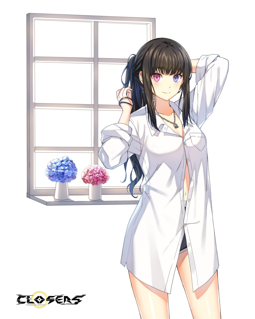 1girl arm_up bai_winchester black_hair black_shorts breast_pocket closers collared_shirt cowboy_shot flower hand_up heterochromia highres jewelry long_hair looking_at_viewer necklace official_art partially_unbuttoned pink_eyes plant pocket ponytail potted_plant shirt shorts smile solo thighs violet_eyes white_shirt window