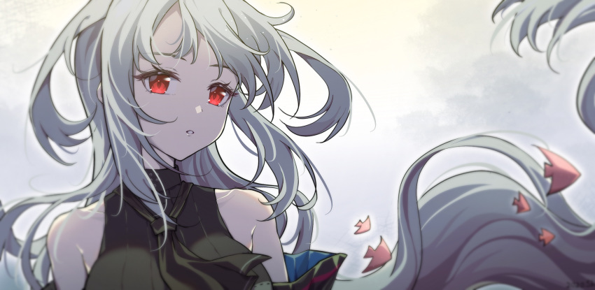 1girl arknights ascot black_neckwear black_sweater clouds cloudy_sky detached_sleeves directional_arrow english_commentary expressionless grey_sky highres long_hair looking_at_viewer parted_lips red_eyes ribbed_sweater shao_(shao09320653) silver_hair skadi_(arknights) sky solo sweater upper_body wind
