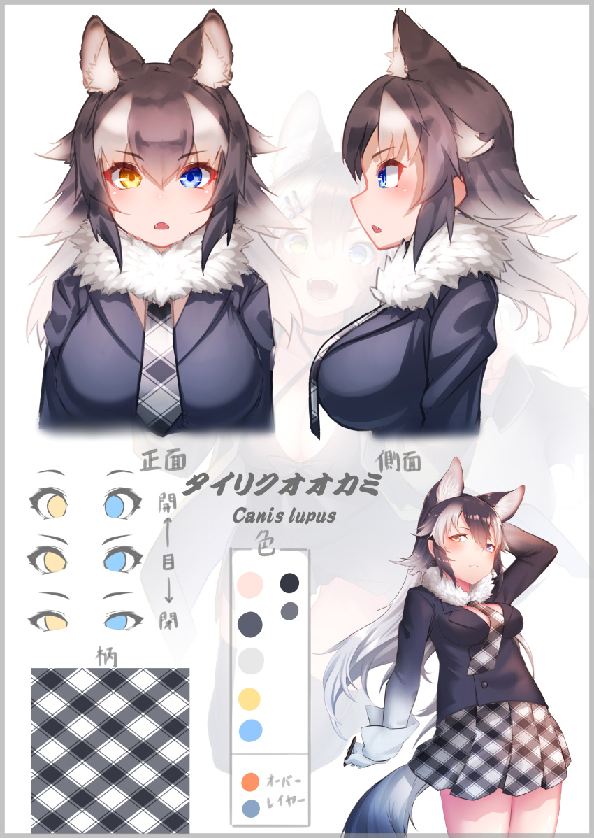 1girl absurdres animal_ears blue_eyes character_sheet color_guide commentary cowboy_shot extra_ears fangs fur_collar gloves grey_hair grey_wolf_(kemono_friends) heterochromia highres kemono_friends long_sleeves multicolored_hair multiple_views navy_blue_jacket necktie open_mouth plaid plaid_neckwear plaid_skirt pleated_skirt short_hair skirt st.takuma symbol_commentary tail translation_request upper_body white_gloves white_hair wolf_ears wolf_girl wolf_tail yellow_eyes