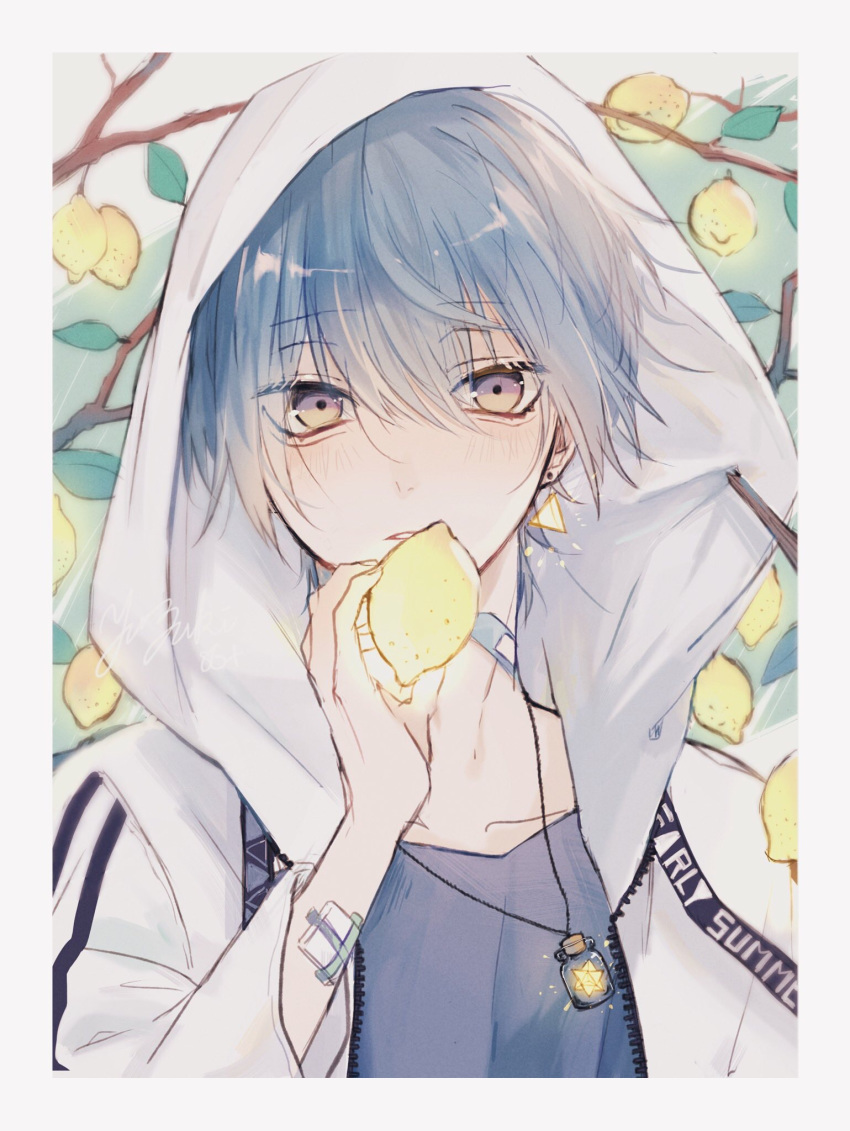 1boy blue_hair blush border branch collarbone eyebrows_visible_through_hair food fruit hair_between_eyes highres holding hood hood_up jacket jewelry lemon long_sleeves looking_at_viewer myuhuaki open_clothes open_jacket original parted_lips patch pendant single_earring solo upper_body white_jacket yellow_eyes