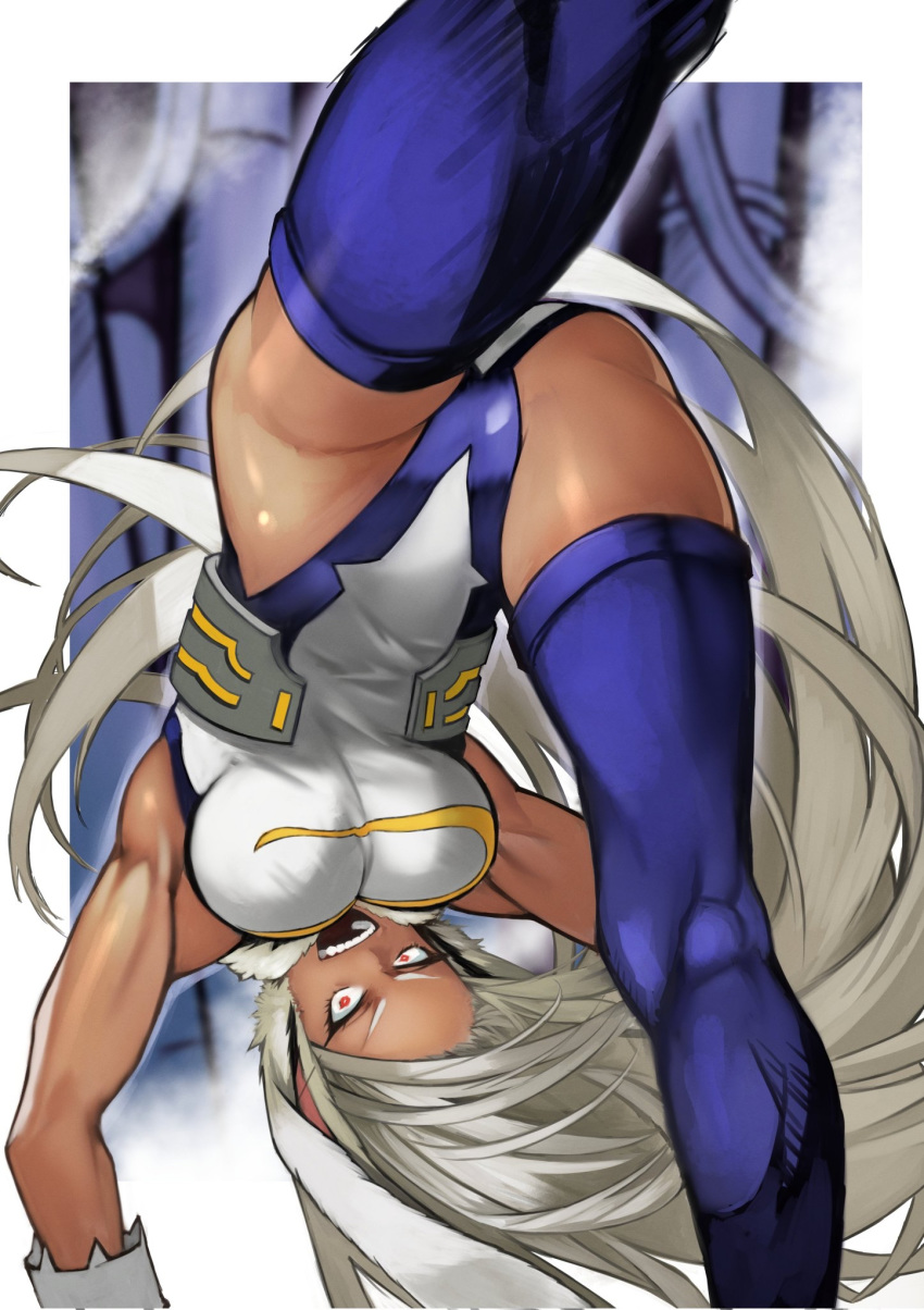 1girl action animal_ears armpits biceps blue_legwear boku_no_hero_academia border breasts crazy_eyes dark_skin furrowed_eyebrows gloves highleg highleg_leotard highres impossible_clothes impossible_leotard kicking kneepits large_breasts leotard long_eyelashes long_hair mirko muscle muscular_female outside_border rabbit_ears red_eyes silver_hair solo thick_thighs thigh-highs thighs toned two-tone_leotard upside-down very_long_hair white_border white_gloves white_leotard yoshio_(55level)