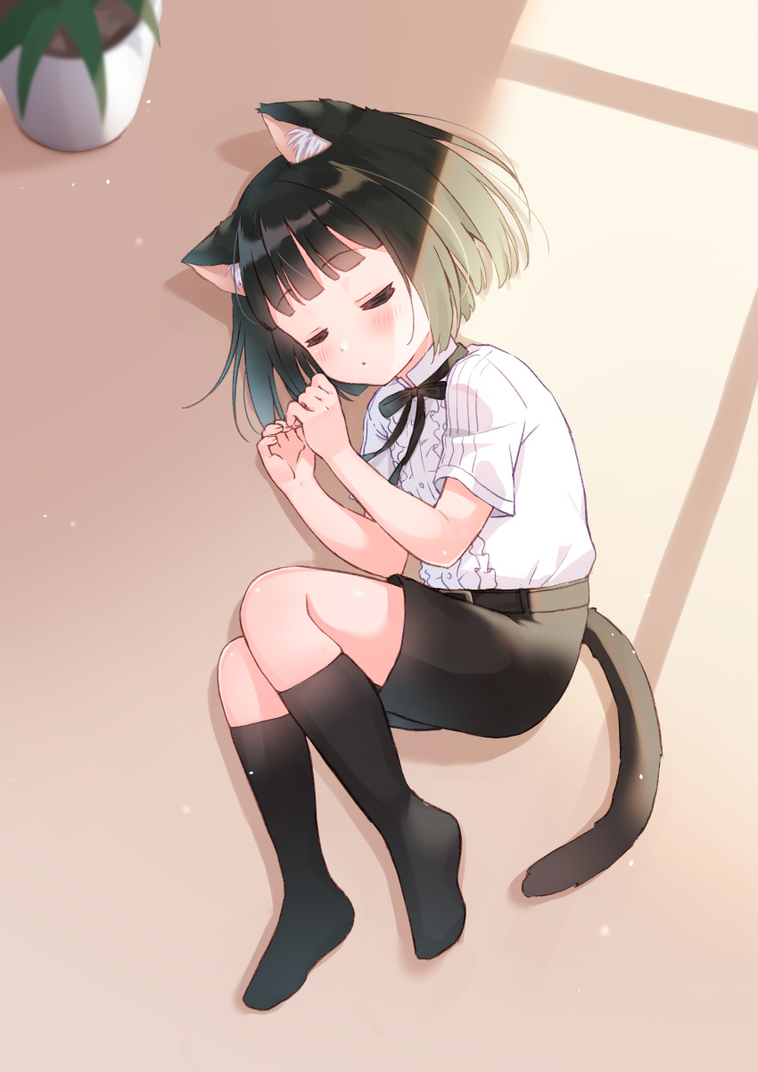 1boy absurdres animal_ears bangs black_hair black_legwear blush bob_cut cat_boy cat_ears cat_tail full_body highres idolmaster idolmaster_side-m kagura_rei kneehighs rayuse ribbon shorts sleeping solo tail