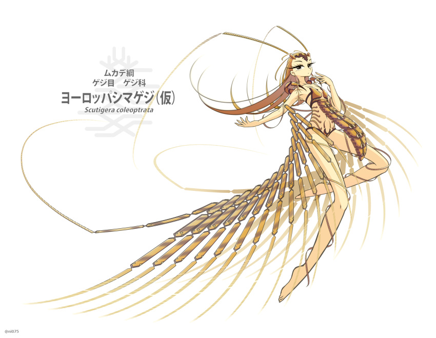1girl antennae barefoot blonde_hair carapace commentary_request earrings flat_chest full_body grey_eyes hair_pulled_back highres house_centipede insect_girl jewelry jun075 long_eyelashes long_hair looking_at_viewer navel original personification revealing_clothes solo white_background