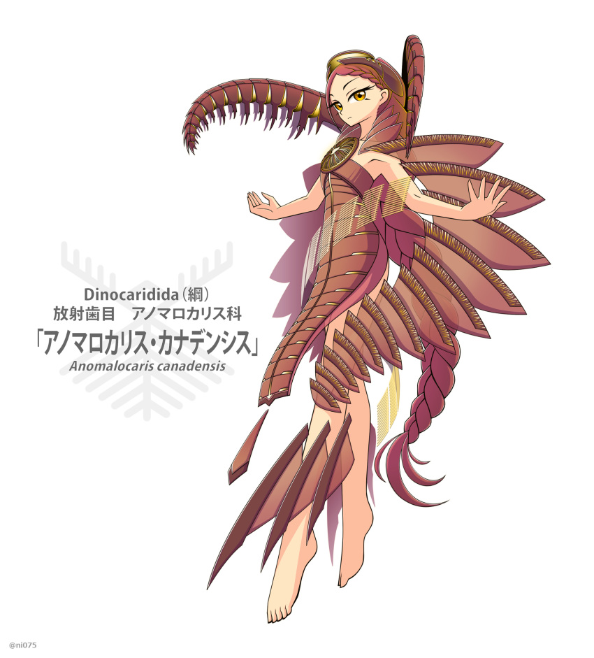 1girl anomalocaris barefoot braid brown_hair carapace commentary_request expressionless full_body highres jun075 long_hair looking_at_viewer orange_eyes original outstretched_arms personification solo spread_arms very_long_hair white_background