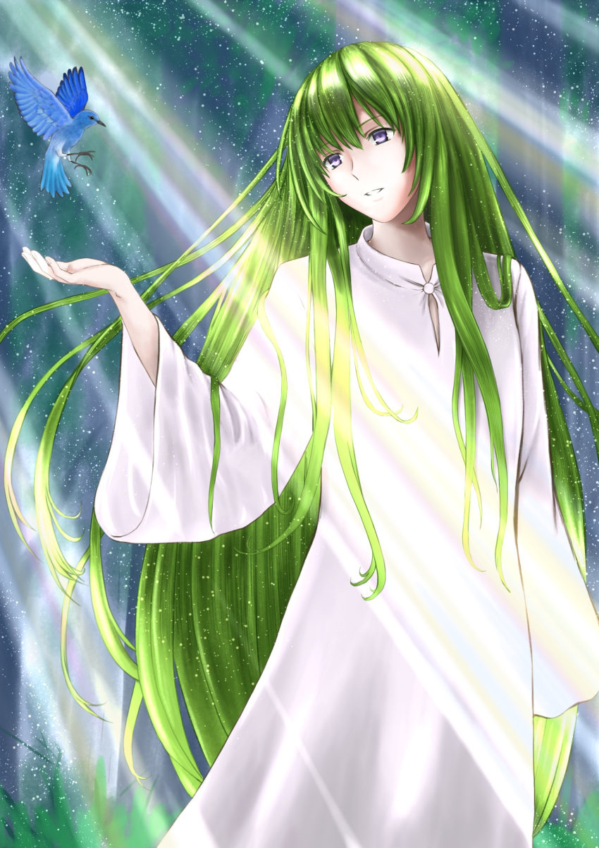 1boy arm_up bird blurry blurry_background bosutonii commentary_request fate/grand_order fate_(series) feet_out_of_frame forest grass green_hair head_tilt highres kingu_(fate) light_particles light_rays long_hair long_sleeves looking_to_the_side nature parted_lips sidelocks solo standing sunbeam sunlight very_long_hair violet_eyes white_robe wide_sleeves