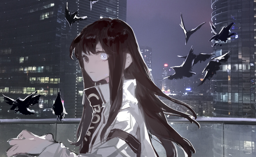 1girl absurdres animal arm_up bangs bird black_eyes black_hair city closed_mouth collar collared_jacket commentary_request crow from_side grey_eyes heterochromia highres iris_(user_pskd5754) jacket long_hair long_sleeves looking_at_viewer night original outdoors rooftop silver_jacket solo