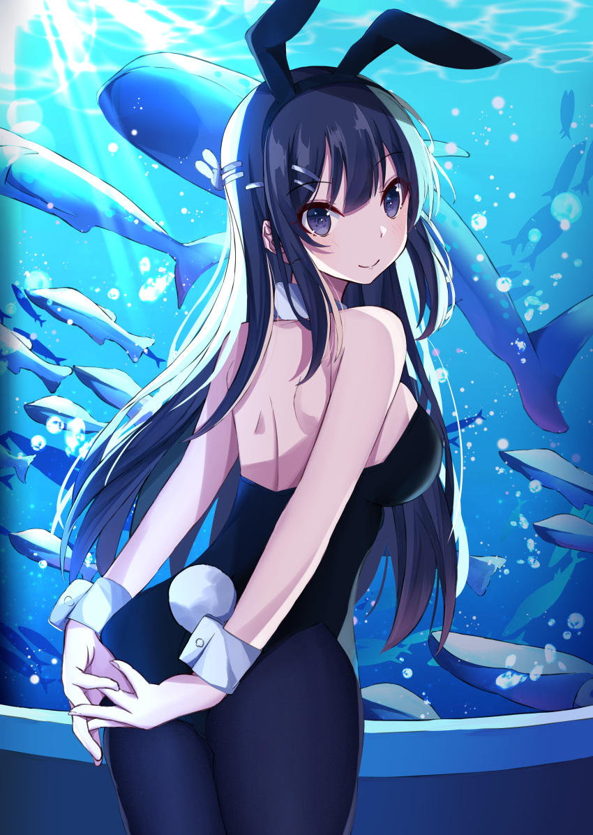 1girl absurdres air_bubble animal animal_ears aquarium arms_behind_back ass backless_outfit bangs bare_shoulders black_hair black_hairband black_legwear black_leotard blush breasts bubble bunny_hair_ornament bunnysuit closed_mouth collar commentary_request detached_collar eyebrows_visible_through_hair fake_animal_ears fish hair_ornament hairband hairclip highres leaning_forward leotard long_hair looking_at_viewer looking_back medium_breasts norazura pantyhose rabbit_ears sakurajima_mai seishun_buta_yarou smile solo strapless strapless_leotard very_long_hair violet_eyes water white_collar wrist_cuffs