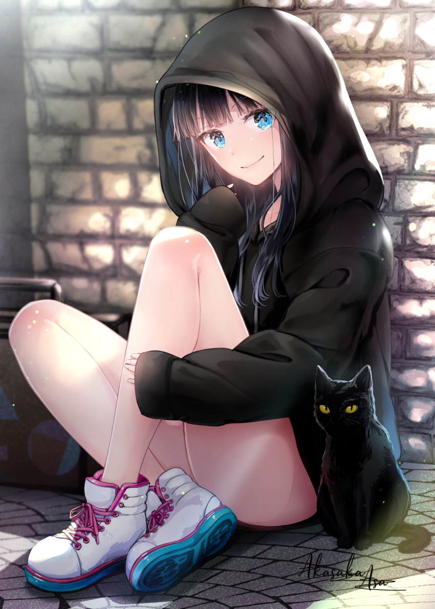 1girl akasaka_asa animal bangs bare_legs black_cat black_hair black_hoodie blue_eyes blush cat closed_mouth commentary_request day full_body highres hood hood_up knees_up long_hair long_sleeves looking_at_viewer on_floor original outdoors shoes signature sitting sleeves_past_wrists smile sneakers solo stone_floor stone_wall suitcase wall white_footwear