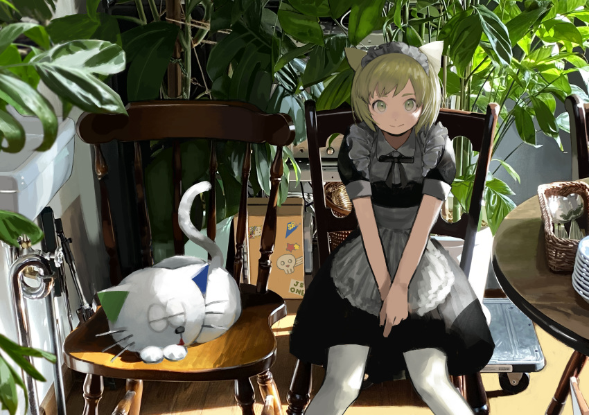 1girl absurdres animal_ears bangs basket blonde_hair cat chair closed_mouth dishes feet_out_of_frame green_eyes hands_on_lap highres indoors looking_at_viewer maid maid_headdress medium_skirt original pantyhose pipe plant potted_plant sara_manta shadow short_hair short_sleeves sink sitting skirt sleeping smile spoon sticker table v_arms white_legwear wood wooden_chair wooden_floor