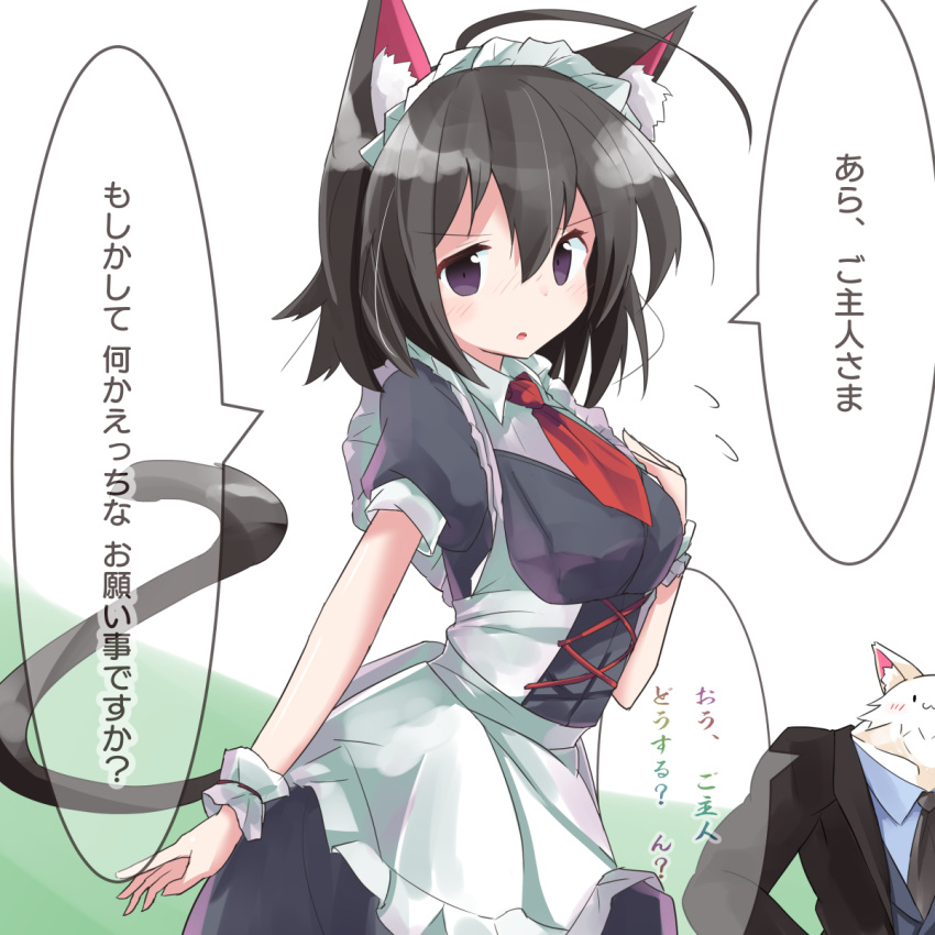1girl :o animal animal_ear_fluff animal_ears apron bangs black_dress black_hair black_jacket black_neckwear black_vest blue_shirt blush cat_ears cat_girl cat_tail clothed_animal collared_shirt commentary_request dress eyebrows_visible_through_hair flying_sweatdrops formal frilled_apron frills green_background hair_between_eyes highres jacket maid maid_headdress necktie nose_blush open_clothes open_jacket original parted_lips puffy_short_sleeves puffy_sleeves red_neckwear ryogo shirt short_necktie short_sleeves solo_focus suit tail translation_request two-tone_background vest violet_eyes white_apron white_background