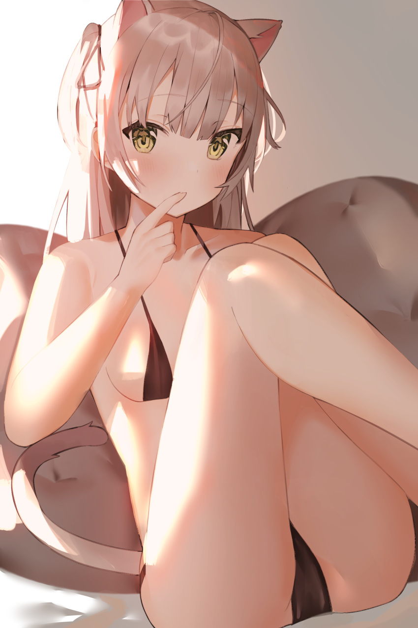 1girl absurdres animal_ears ass backlighting bangs bikini biting black_bikini blush breasts brown_eyes brown_hair cat_ears cat_girl cat_tail commentary_request eyebrows_visible_through_hair fang feet_out_of_frame finger_biting highres idemitsu knees_up long_hair looking_at_viewer medium_breasts one_side_up original pillow solo swimsuit tail