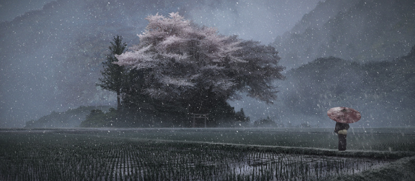 absurdres cherry_blossoms couldoh figure fog highres huge_filesize landscape oriental_umbrella original rice_paddy scenery snowing standing torii tree umbrella