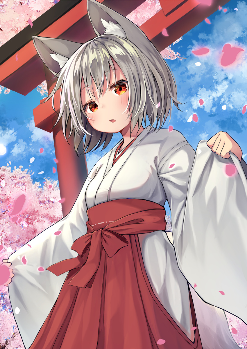1girl :o animal_ear_fluff animal_ears bangs blush breasts cherry_blossoms clouds day eyebrows_visible_through_hair hakama highres inubashiri_momiji japanese_clothes long_sleeves looking_at_viewer mamemochi medium_breasts miko open_mouth outdoors petals red_eyes red_hakama short_hair silver_hair sky sleeve_hold solo tail torii touhou tree wide_sleeves wolf_ears wolf_girl wolf_tail