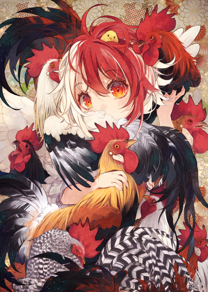 1girl animal animal_on_head bird bird_wings chick chicken close-up commentary_request covered_mouth feathered_wings head_tilt highres looking_at_viewer medium_hair multicolored_hair niwatari_kutaka on_head red_eyes redhead rooster touhou toutenkou two-tone_hair upper_body white_hair white_wings wings