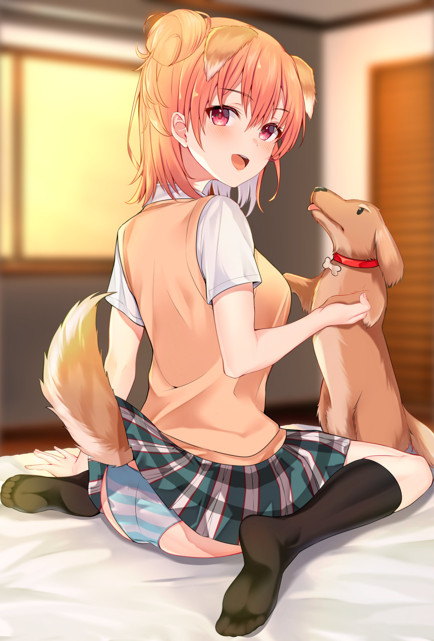 1girl absurdres ass bangs black_legwear blue_eyes blue_panties blush breasts commentary_request dog double_bun eyebrows_visible_through_hair from_behind green_skirt hair_bun highres jun_(aousa0328) kneehighs long_hair looking_at_viewer medium_breasts open_mouth panties pink_hair school_uniform short_hair short_sleeves skirt smile solo underwear upper_teeth yahari_ore_no_seishun_lovecome_wa_machigatteiru. yuigahama_yui