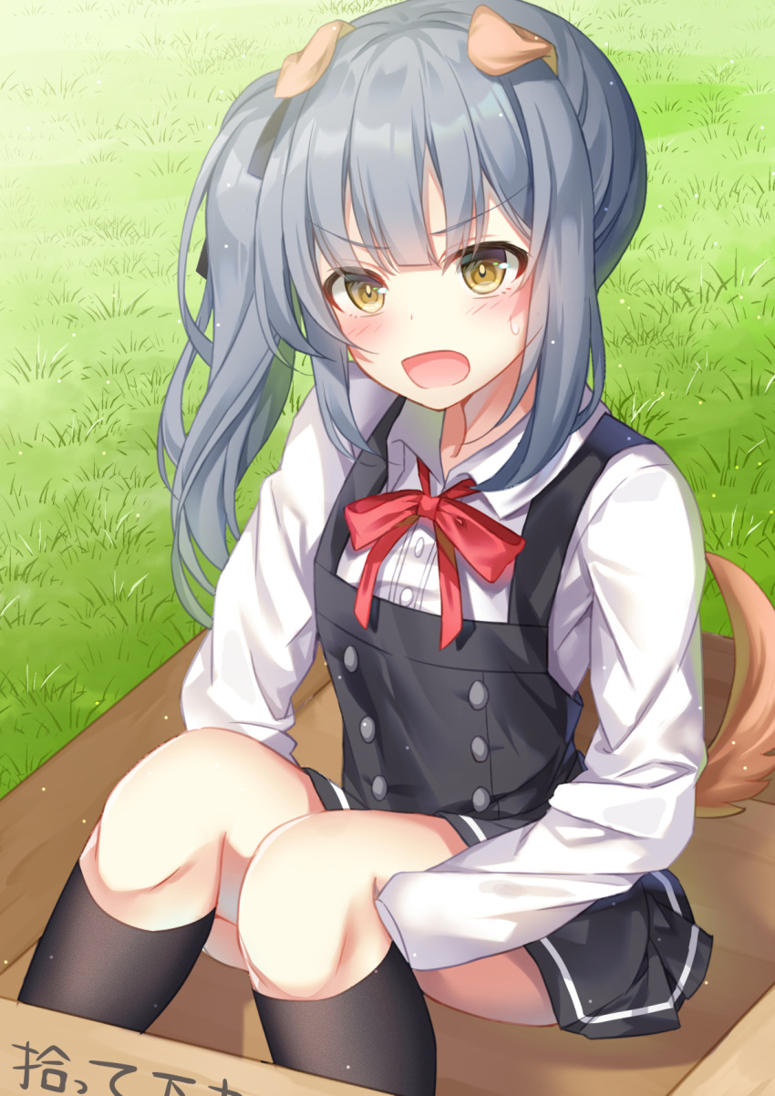 1girl animal_ears belt black_legwear black_ribbon box brown_eyes cardboard_box commentary_request dog_ears dog_tail dress for_adoption grey_hair highres kantai_collection kasumi_(kantai_collection) kemonomimi_mode kneehighs long_hair long_sleeves looking_at_viewer open_mouth pinafore_dress red_ribbon remodel_(kantai_collection) ribbon shirt side_ponytail sitting sleeveless sleeveless_dress solo sugisaki_yuu tail translated white_shirt