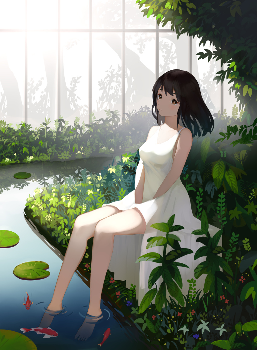 .l.l 1girl absurdres animal bangs bare_arms bare_shoulders barefoot between_legs black_hair blush breasts brown_eyes chinese_commentary closed_mouth commentary_request dress eyebrows_behind_hair fish full_body hand_between_legs highres indoors koi lily_pad long_hair looking_at_viewer medium_breasts original plant sitting sleeveless sleeveless_dress soaking_feet solo water white_dress