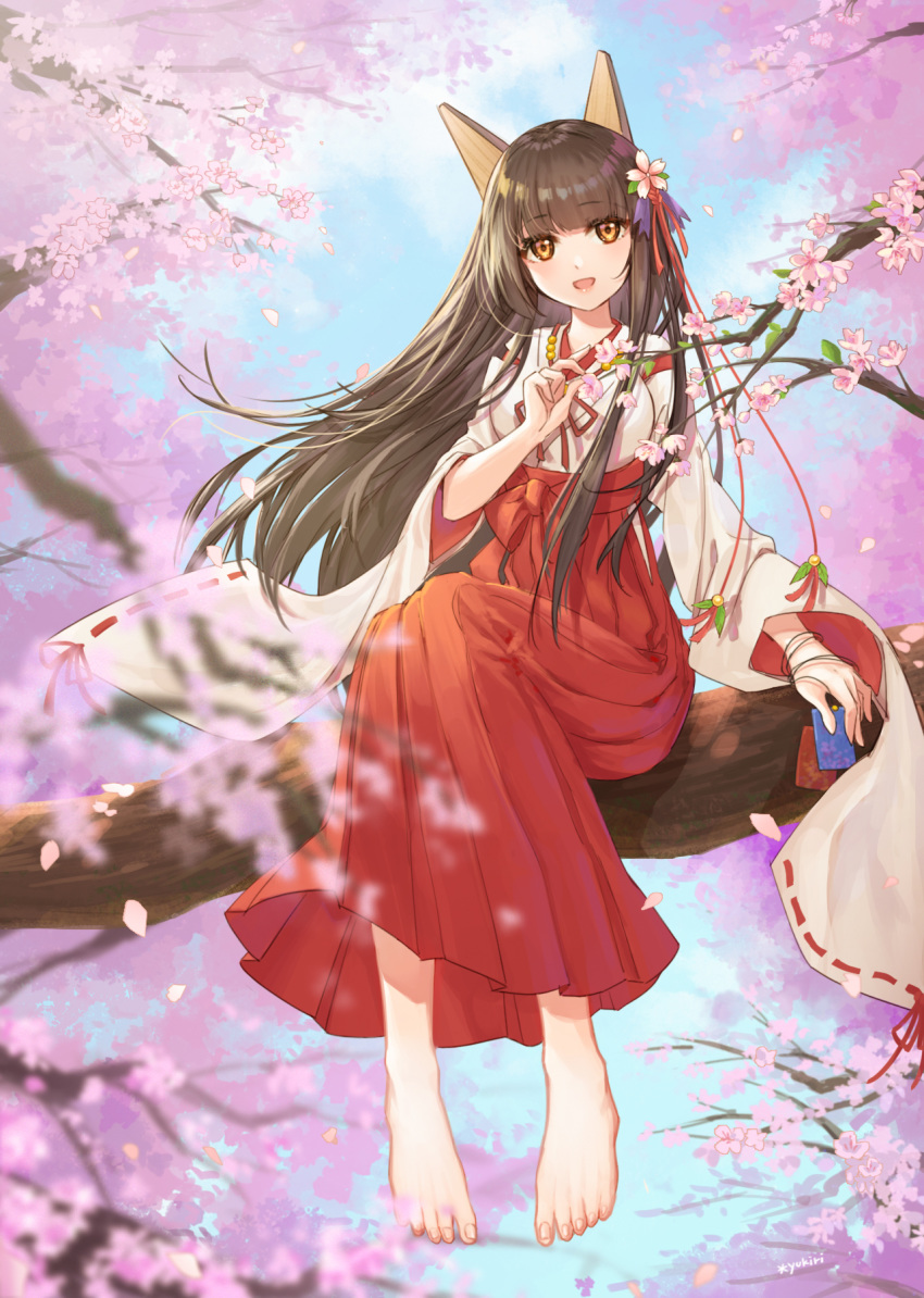 akagi_(warship_girls_r) animal_ears barefoot breasts brown_eyes brown_hair cherry_blossoms fox_ears highres in_tree japanese_clothes l_ii large_breasts long_hair shoes_removed sitting sitting_in_tree tabi toenails toes tree warship_girls_r