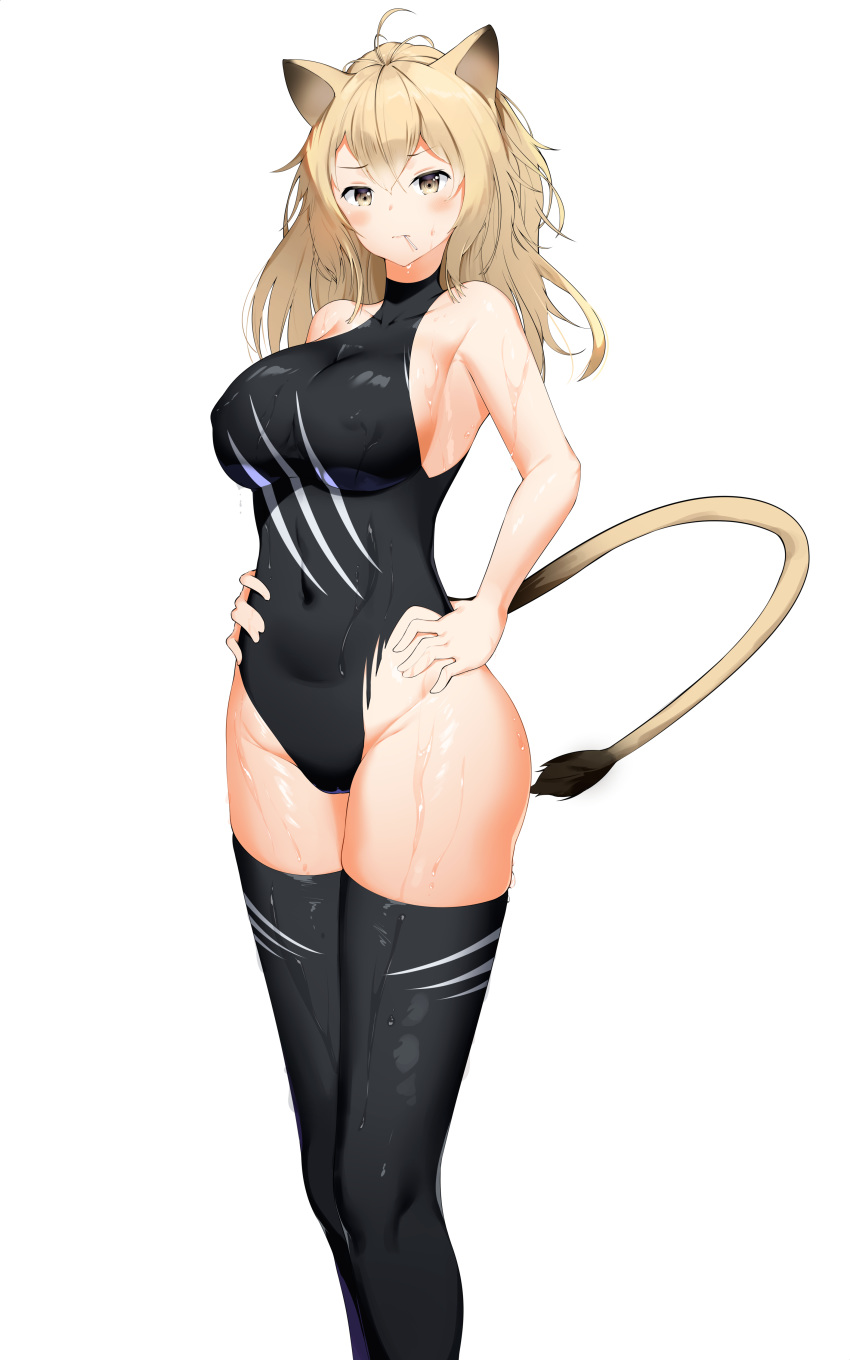 1girl absurdres adapted_costume ahoge animal_ears arknights armpit_peek black_legwear black_swimsuit blonde_hair blush breasts closed_mouth commentary covered_navel covered_nipples cowboy_shot eyebrows_visible_through_hair gappt hands_on_hips highres large_breasts lion_ears lion_tail long_hair looking_at_viewer mouth_hold sideboob siege_(arknights) simple_background solo swimsuit tail thigh-highs thighs wet white_background yellow_eyes