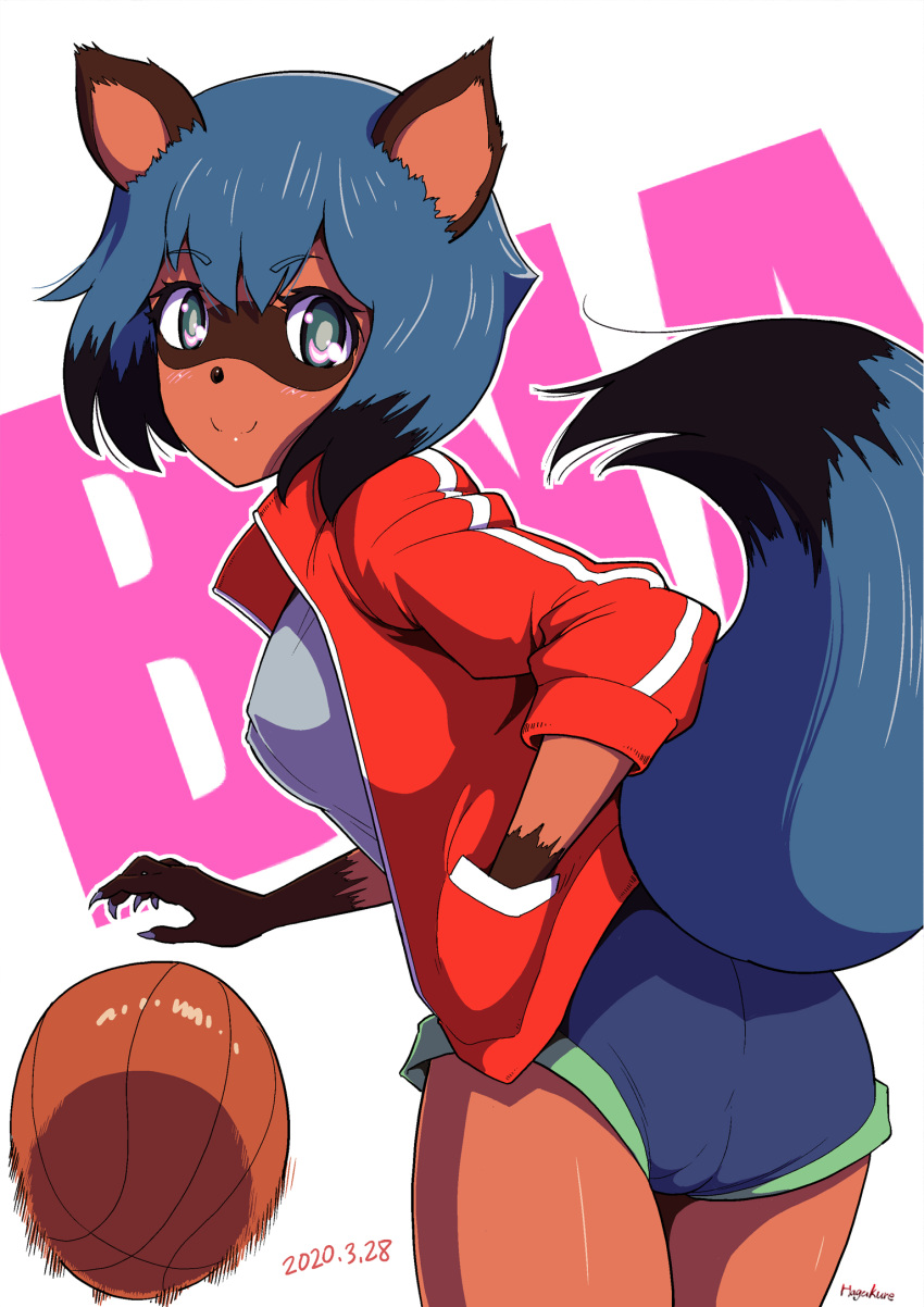 1girl animal_ears ass basketball blue_eyes blue_hair blue_shorts brand_new_animal from_behind furry hand_in_pocket highres jacket kagemori_michiru looking_back number10_(hagakure) raccoon_ears raccoon_girl raccoon_tail red_jacket shirt short_hair short_shorts shorts smile solo tail thighs track_jacket white_shirt