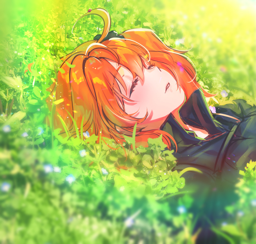 1girl ahoge bangs black_jacket black_scrunchie blush breasts closed_eyes fate/grand_order fate_(series) fujimaru_ritsuka_(female) galibo grass hair_ornament hair_scrunchie highres jacket lying medium_breasts on_back one_side_up orange_hair parted_lips polar_chaldea_uniform scrunchie short_hair sleeping solo